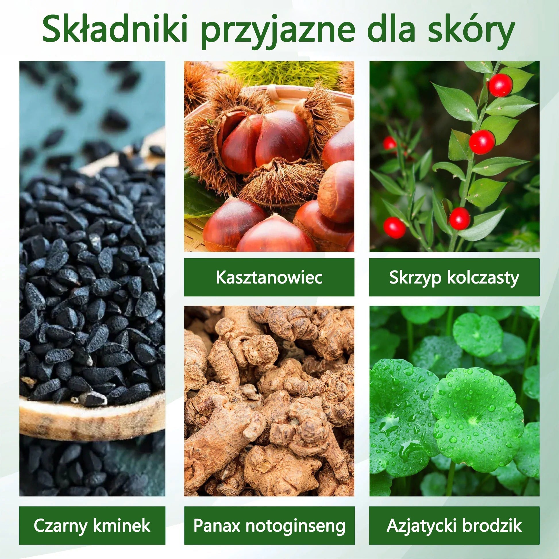🌿ATTDX® Krem ziołowy łagodzący obrzęki z czarnuszką